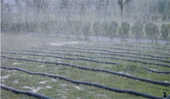 Système d'irrigation Tuyau de pluie Ruban de pulvérisation de pluie